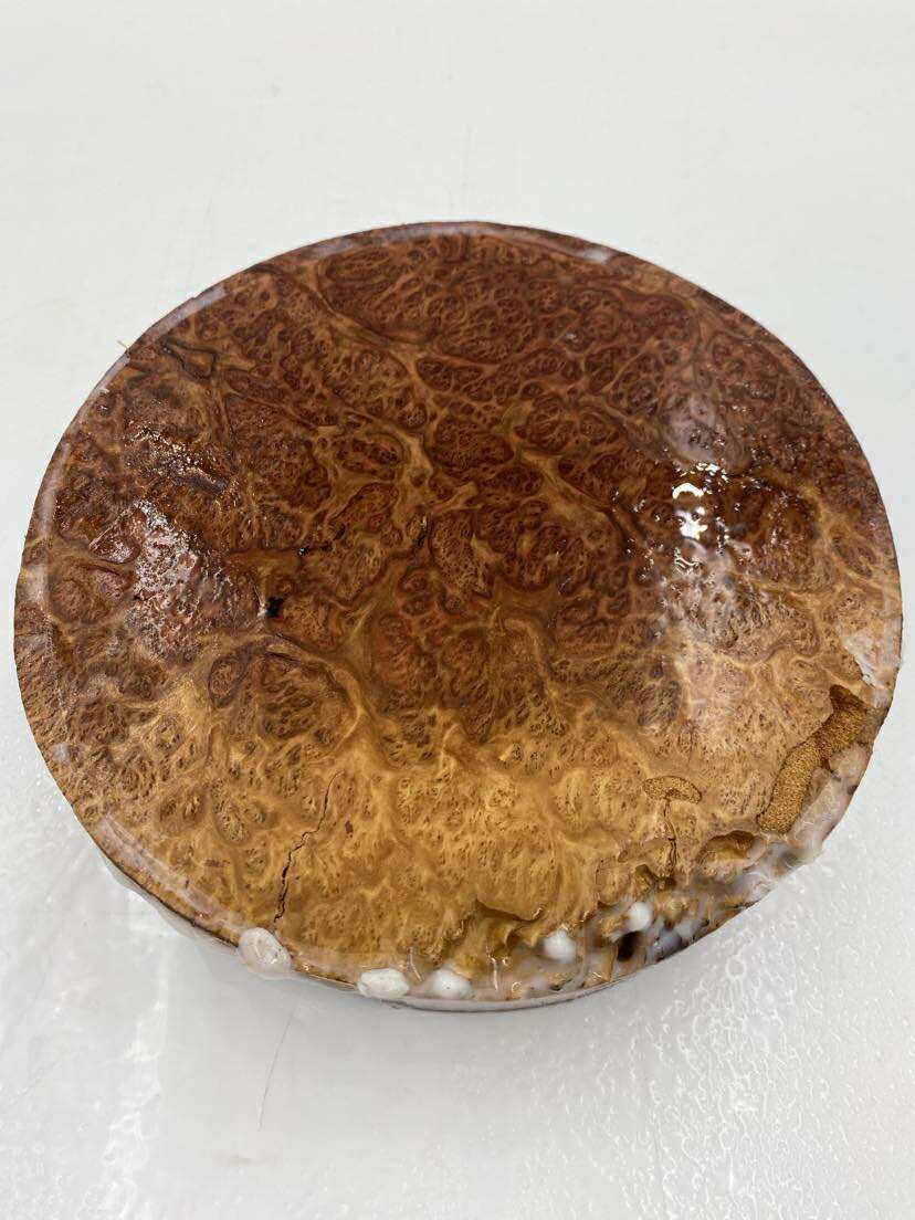 Red Mallee Bowl Blank 200 x 50mm