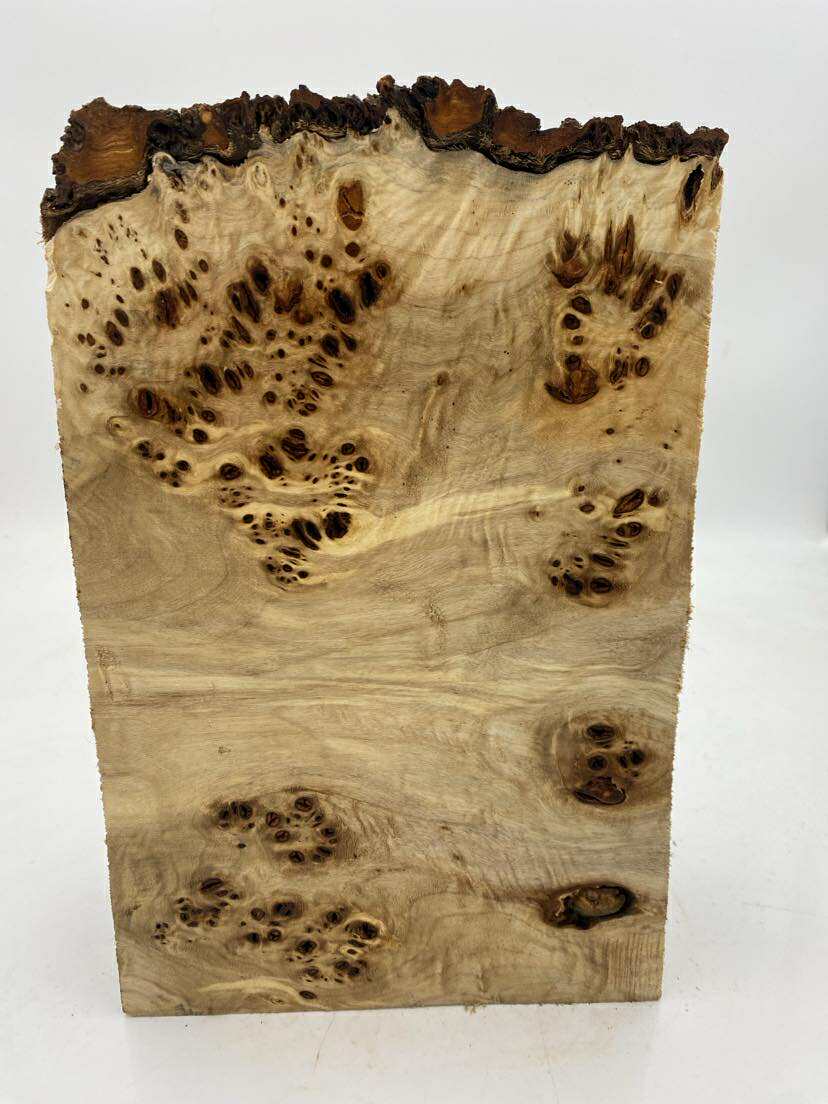 Poplar Burl Bowl Blank 300 x 190 x 70mm