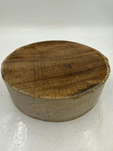 Camphor Laurel Bowl Blank (wet) 260 x 80mm