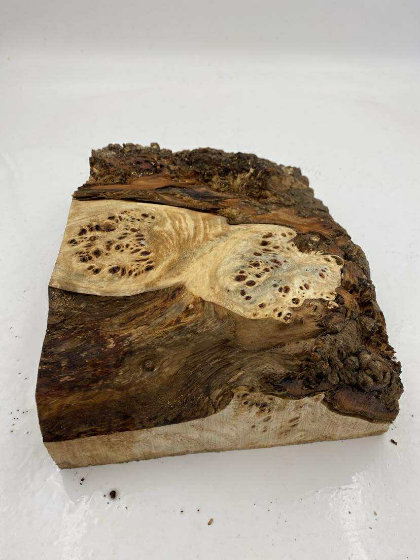 Poplar Burl Bowl Blank 300 x 190 x 70mm
