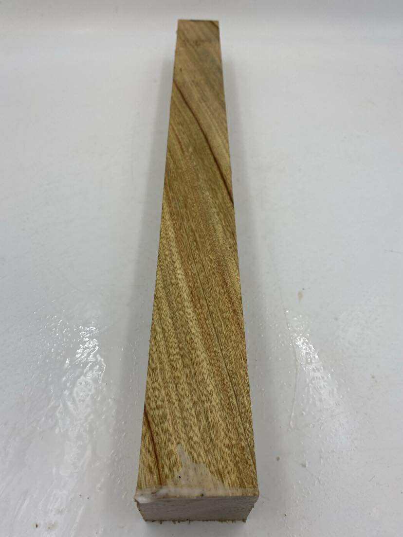Camphor Laurel Spindle (wet) 560 x 50 x 50mm