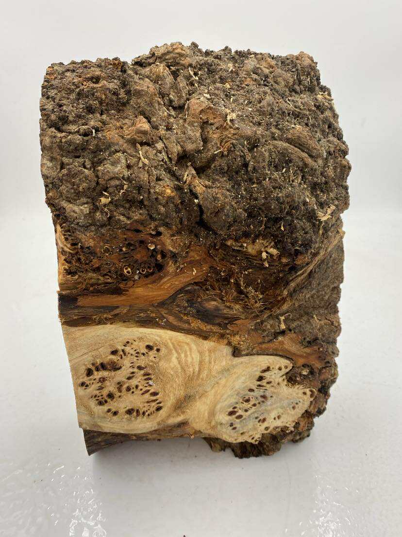 Poplar Burl Bowl Blank 300 x 190 x 70mm