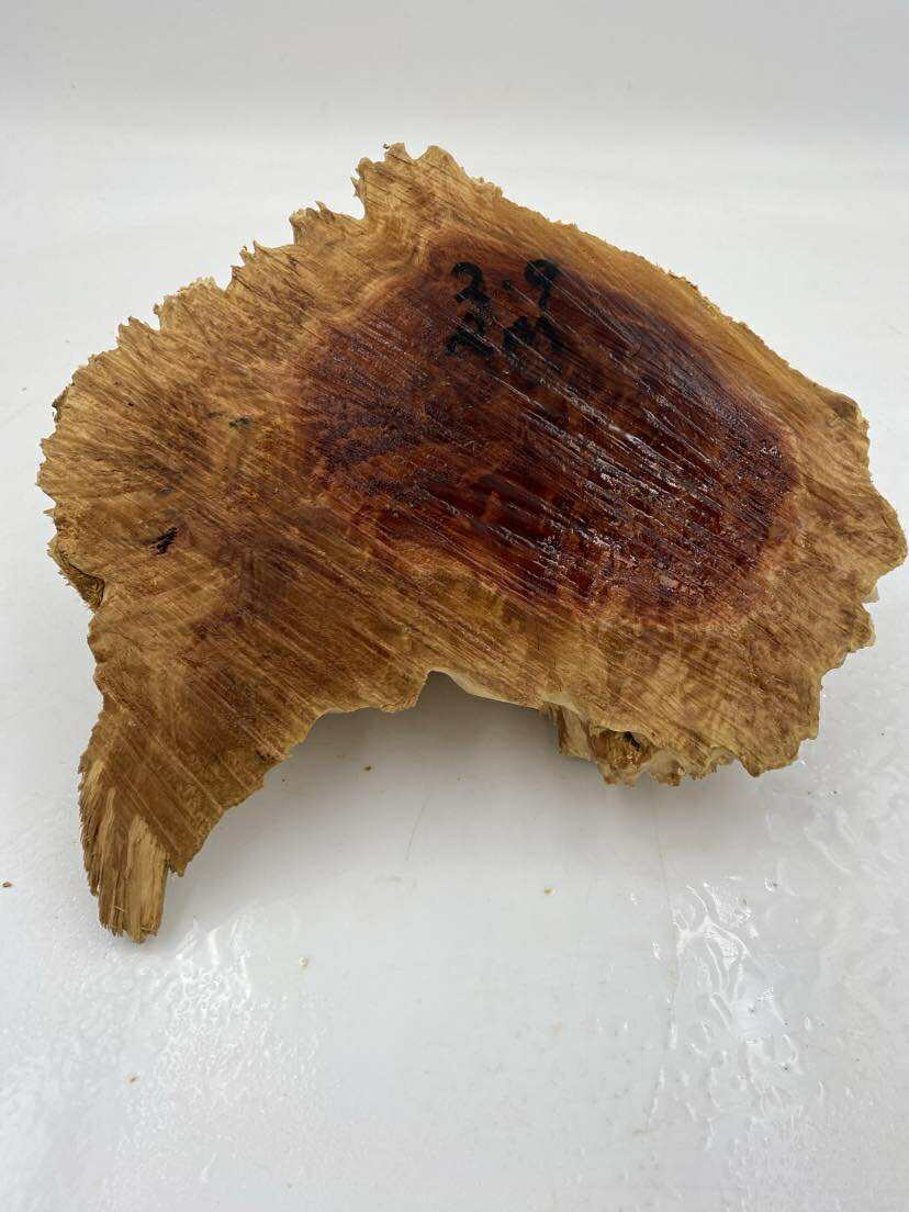 Red Mallee Burl 250 x 150 x 80mm