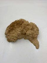 Red Mallee Burl 250 x 150 x 80mm