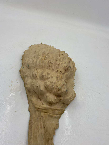 Red Mallee Burl 300 x 190 x 80mm