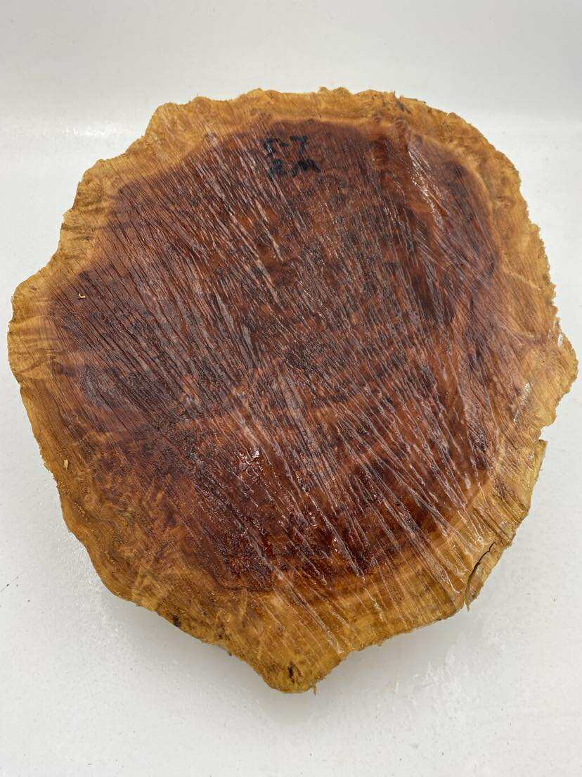 Red Mallee Burl 300 x 230 x 80mm
