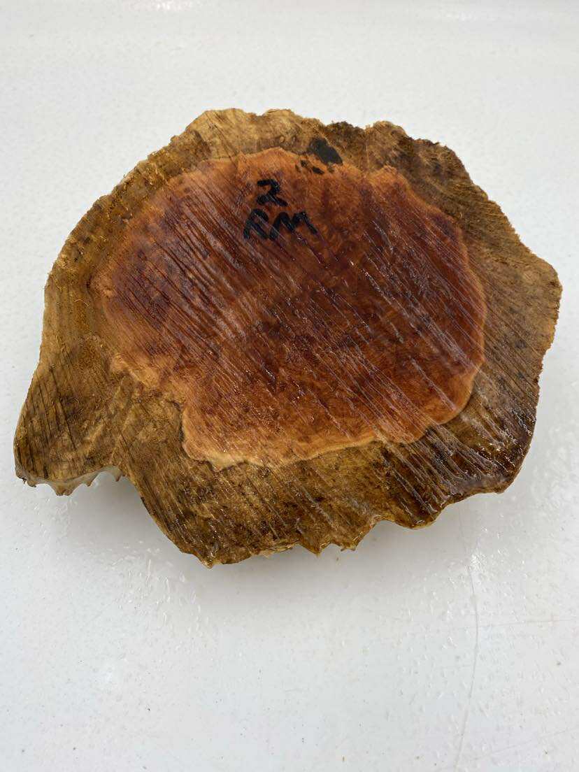 Red Mallee Burl 210 x 200 x 60mm