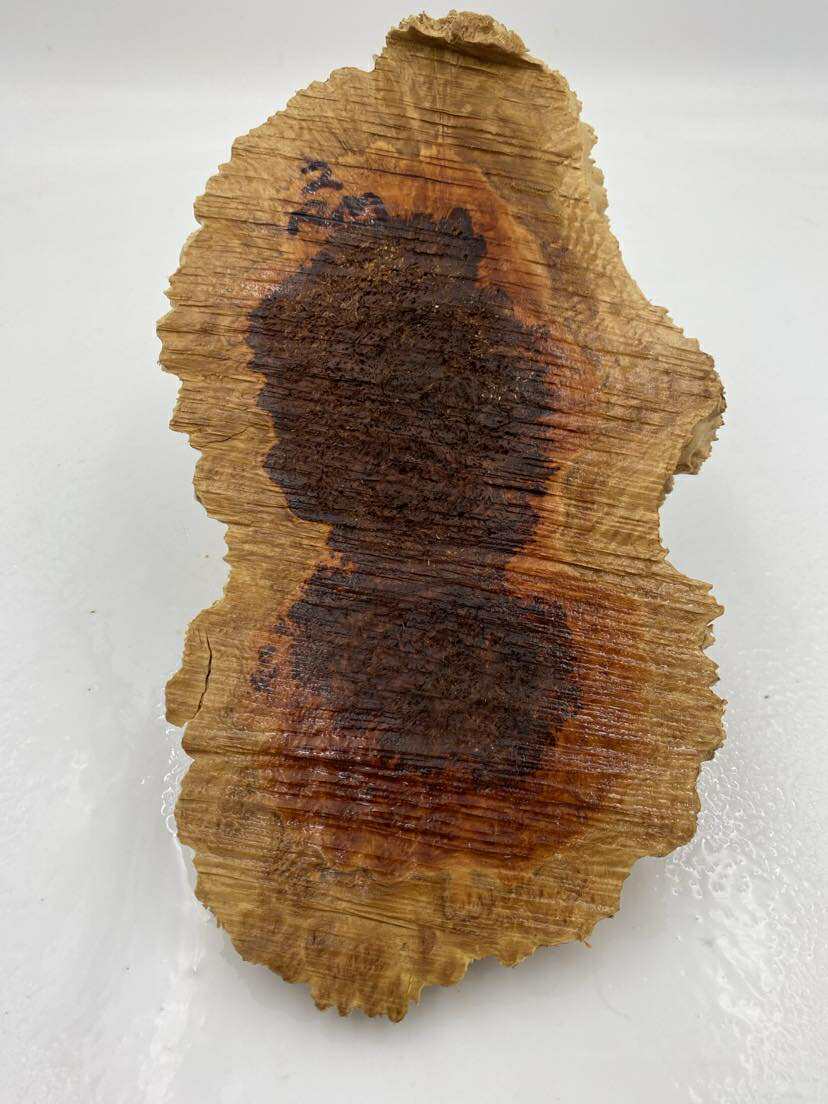 Red Mallee Burl 290 x 130 x 50mm