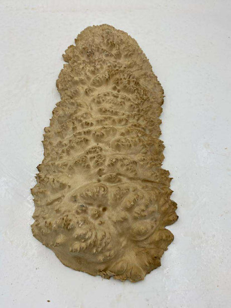 Red Mallee Burl Bowl 420 x 160 x 40mm