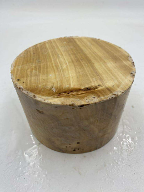 Poplar with Burling Bowl Blank 150 x 195mm