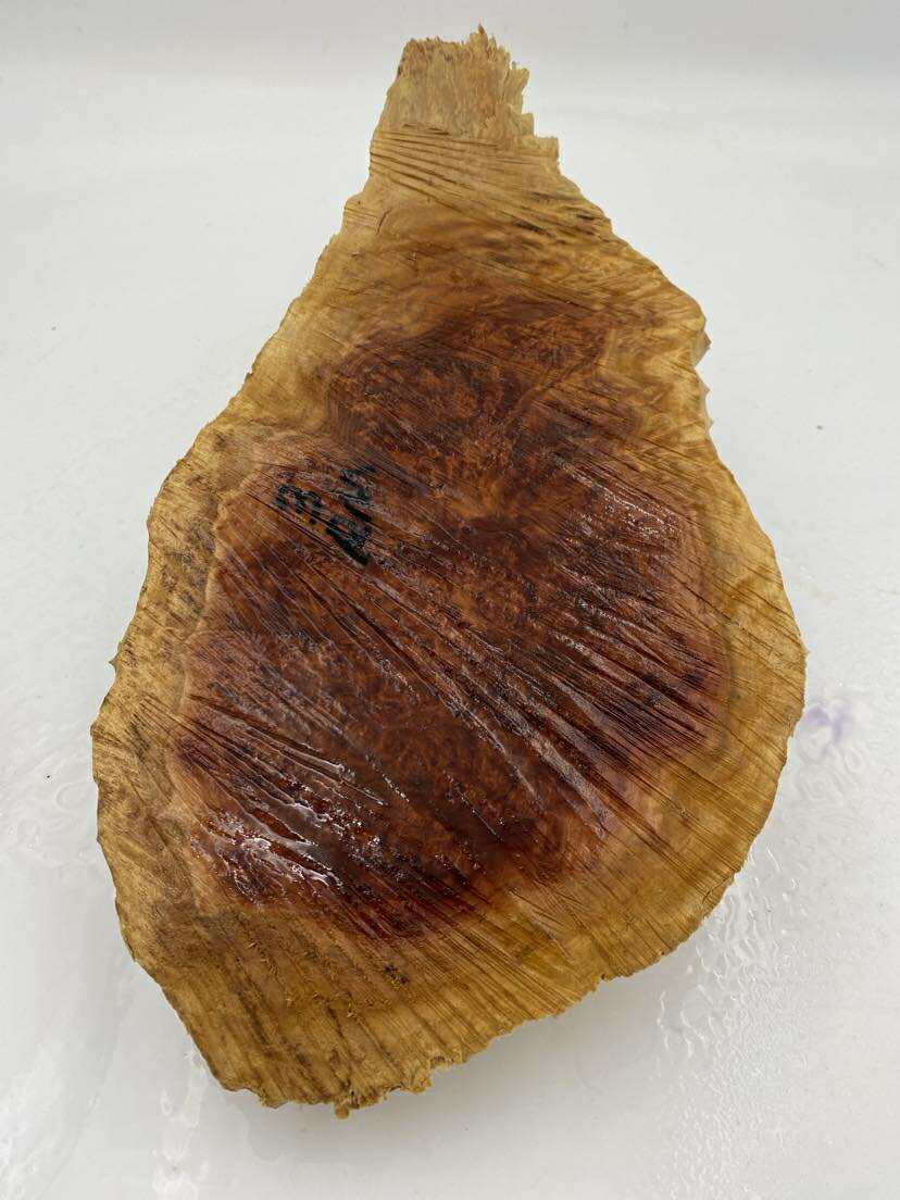 Red Mallee Burl 300 x 190 x 80mm