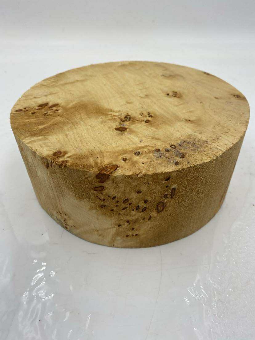 Poplar Burl Bowl Blank 200 x 80mm