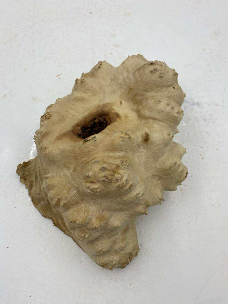 Red Mallee Burl 220 x 150 x 90mm