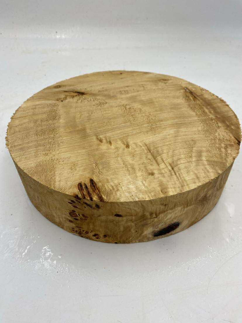 Poplar Burl Bowl Blank 260 x 60mm