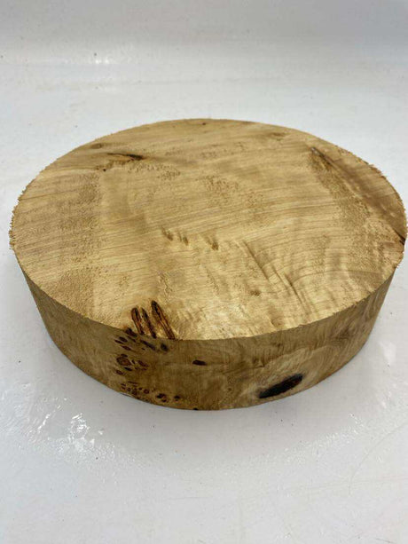 Poplar Burl Bowl Blank 260 x 60mm
