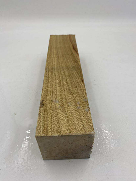 Camphor Laurel Spindle (wet) 300 x 100 x 100mm