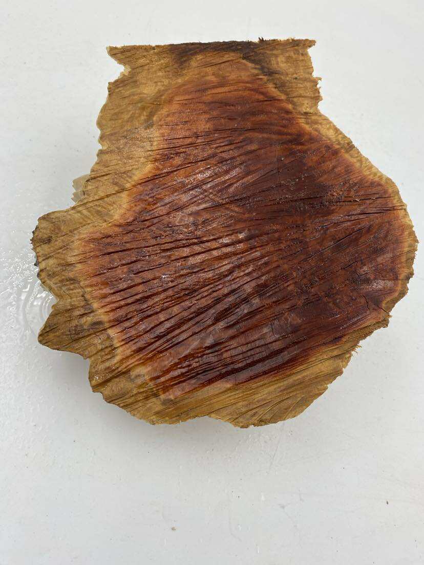Red Mallee Burl 210 x190 x 60mm