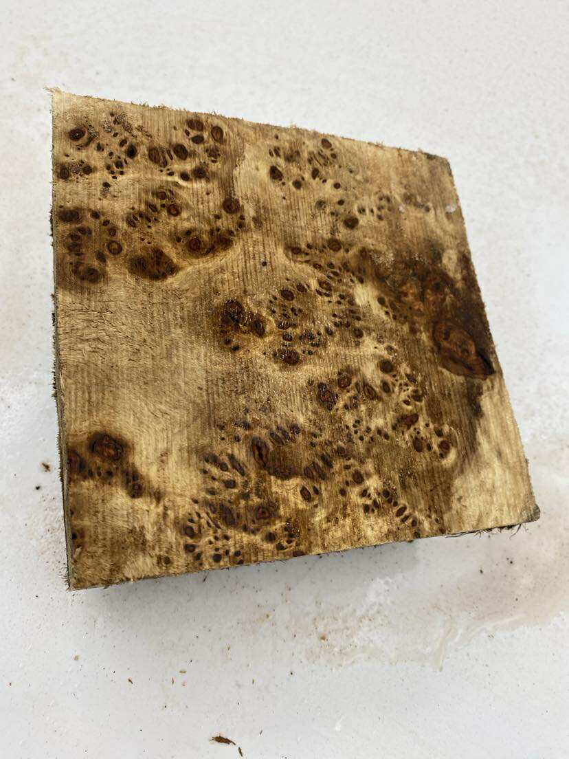Poplar Burl Bowl Blank 160 x 70mm
