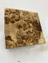 Poplar Burl Bowl Blank 160 x 70mm