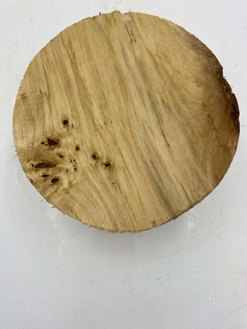 Poplar Burl Bowl Blank 180 x 80mm