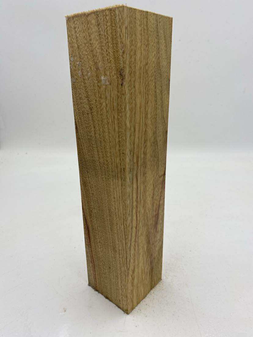 Camphor Laurel Spindle (wet) 300 x 80mm