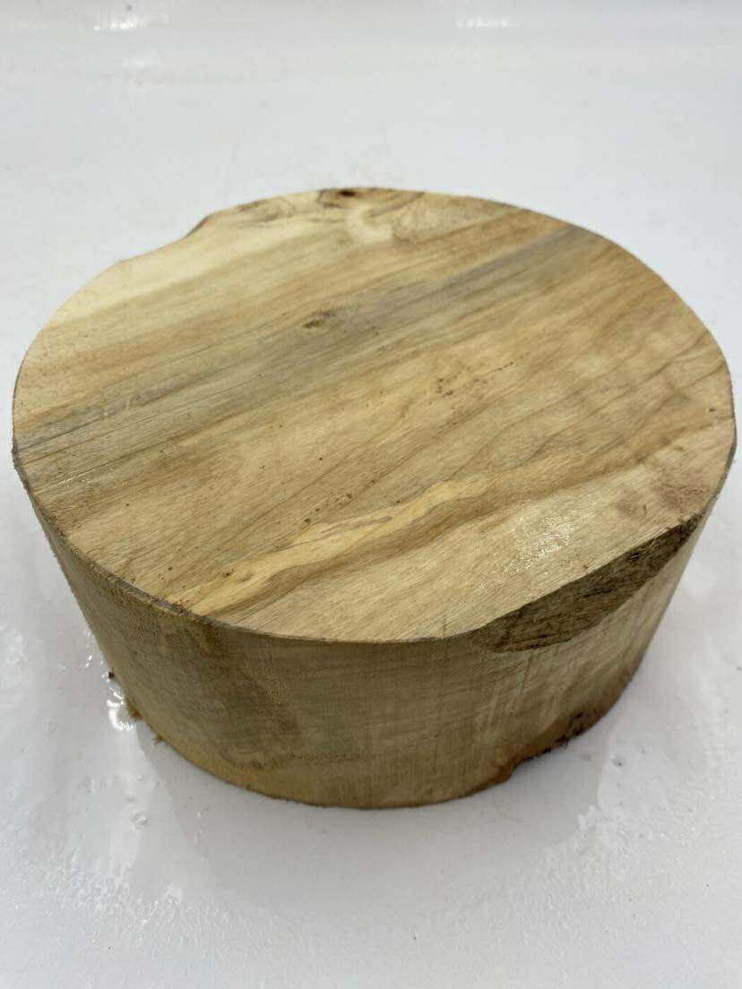 Poplar Burl Bowl Blank 180 x 80mm