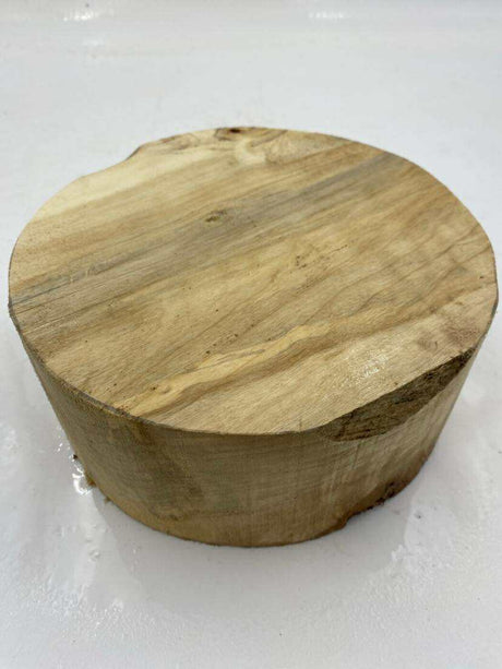 Poplar Burl Bowl Blank 180 x 80mm