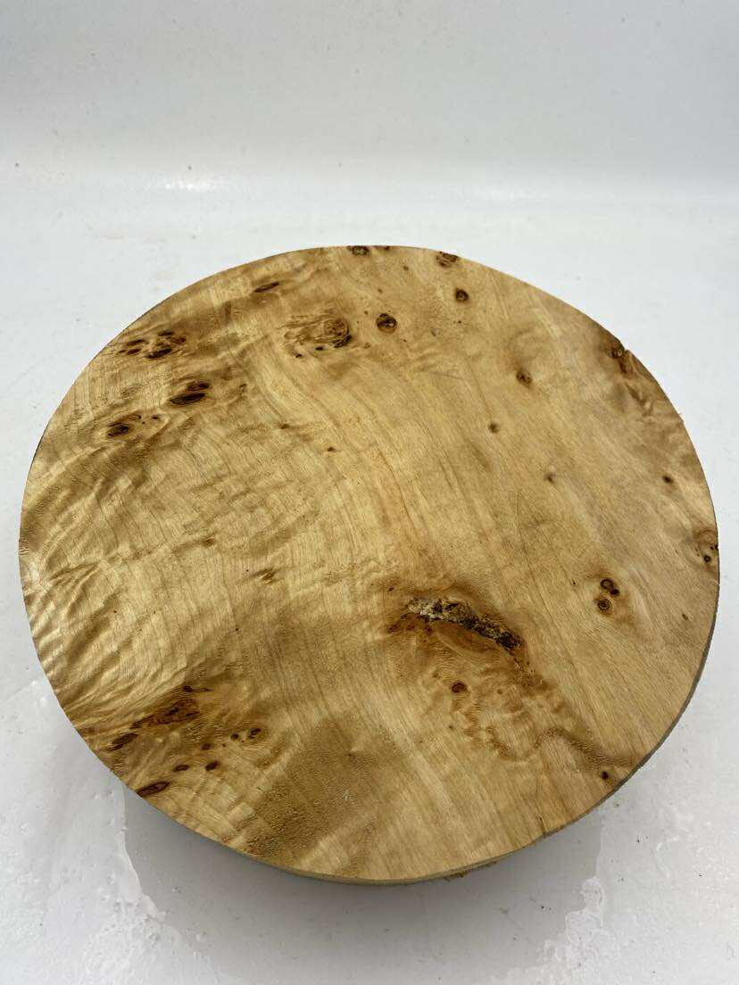 Poplar Burl Bowl Blank 260 x 60mm