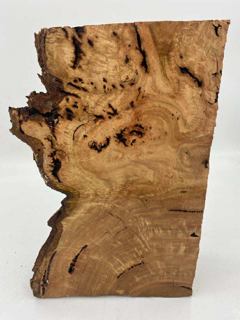 Messmate Burl 280 x 170 x 70mm