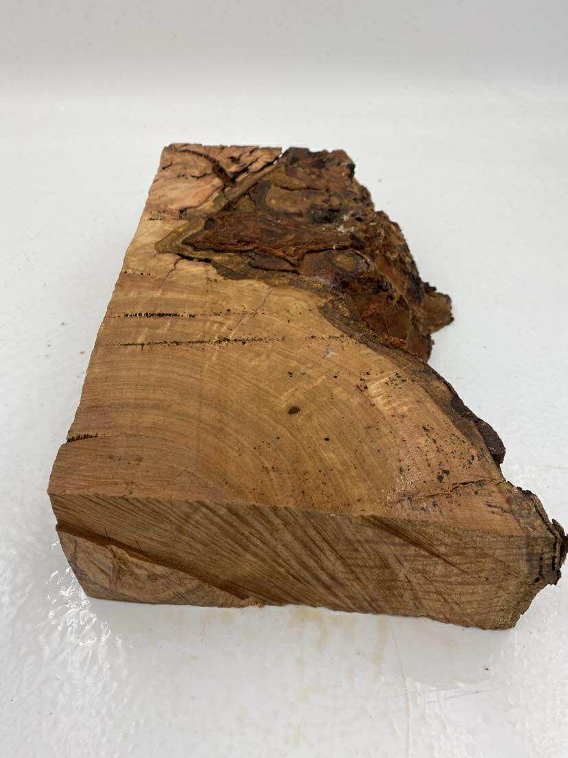 Messmate Burl 280 x 170 x 70mm