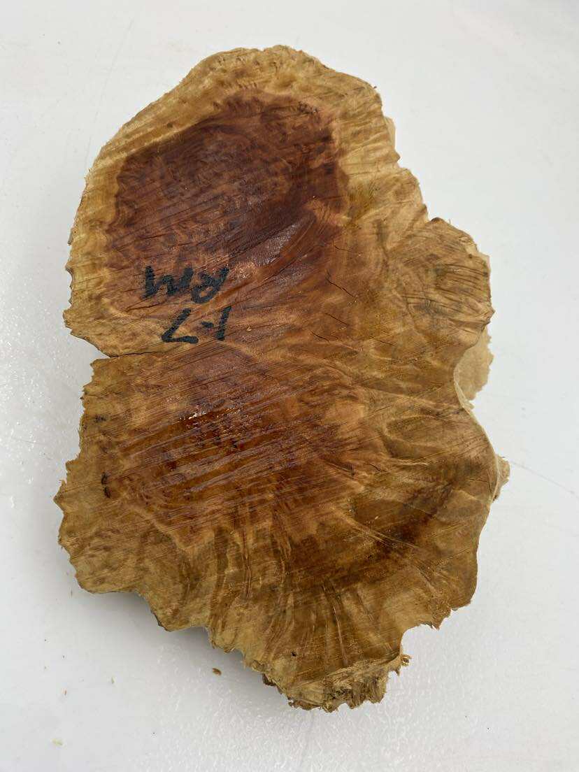 Red Mallee Burl 230 x 140 x 40mm