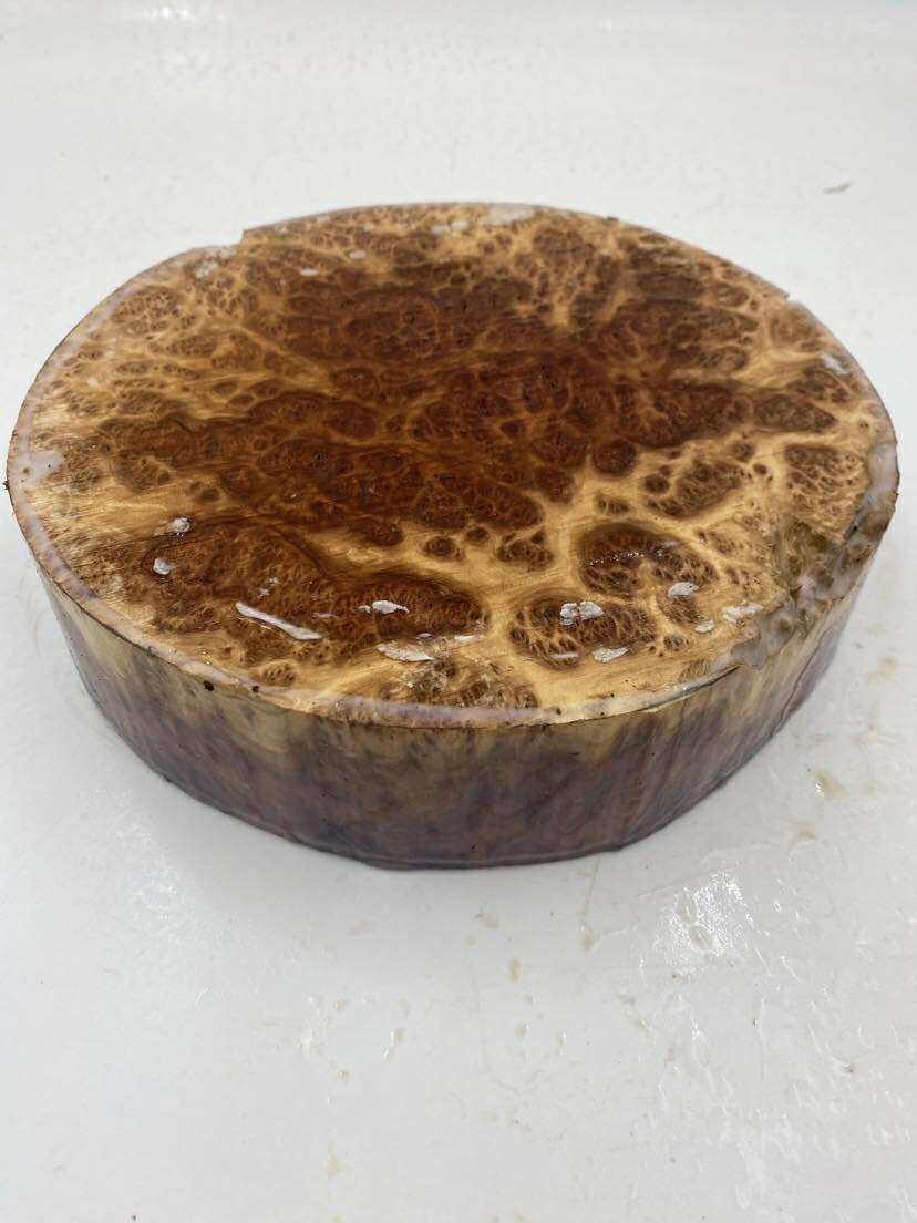 Red Mallee Bowl Blank 200 x 50mm