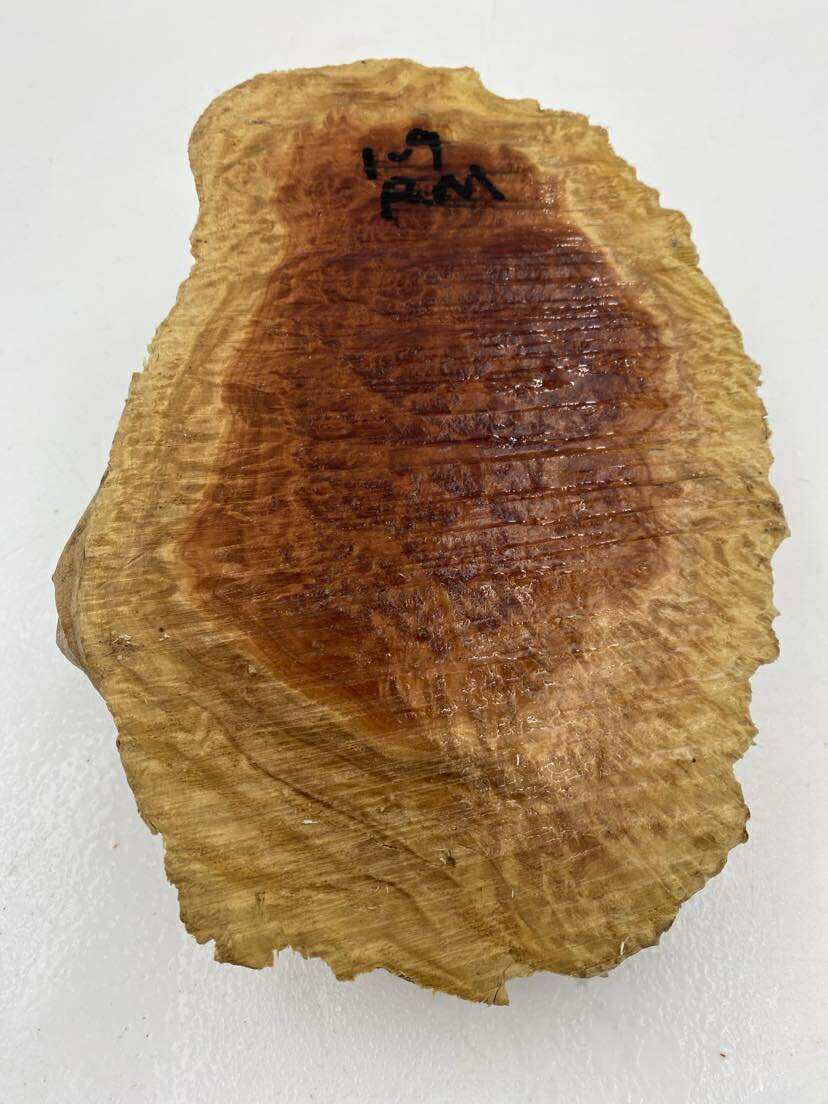 Red Mallee Burl 240 x 160 x 50mm