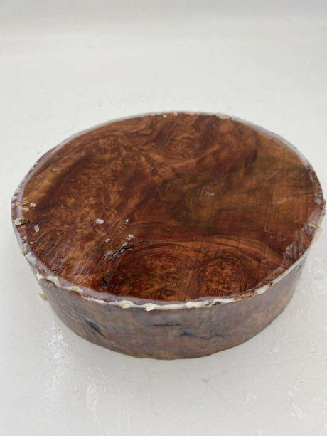 Red Mallee Burl Bowl Blank 150 x 50mm