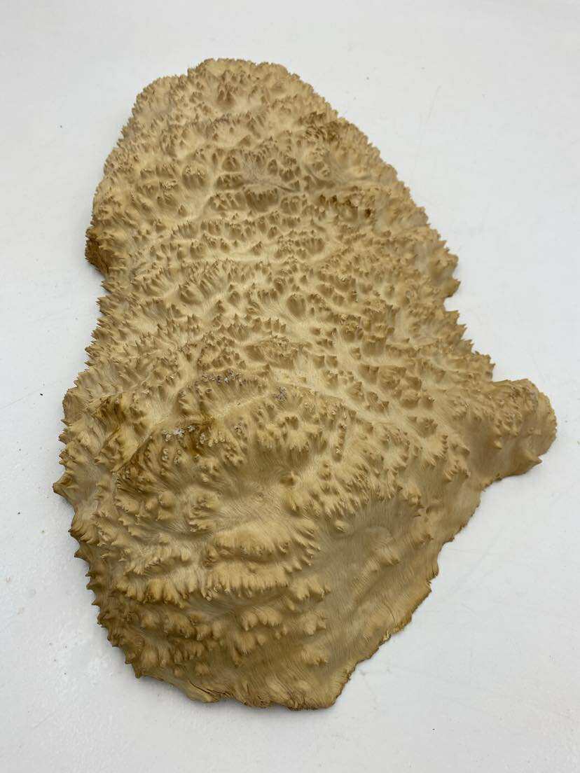 Red Mallee Burl 430 x 210 x 50mm