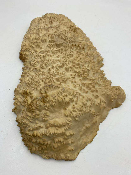 Red Mallee Burl 430 x 210 x 50mm