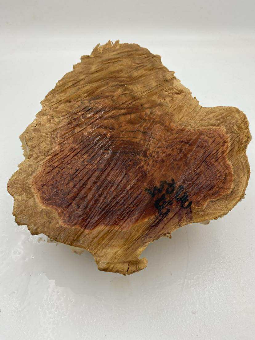 Red Mallee Burl 220 x 200 x 80mm