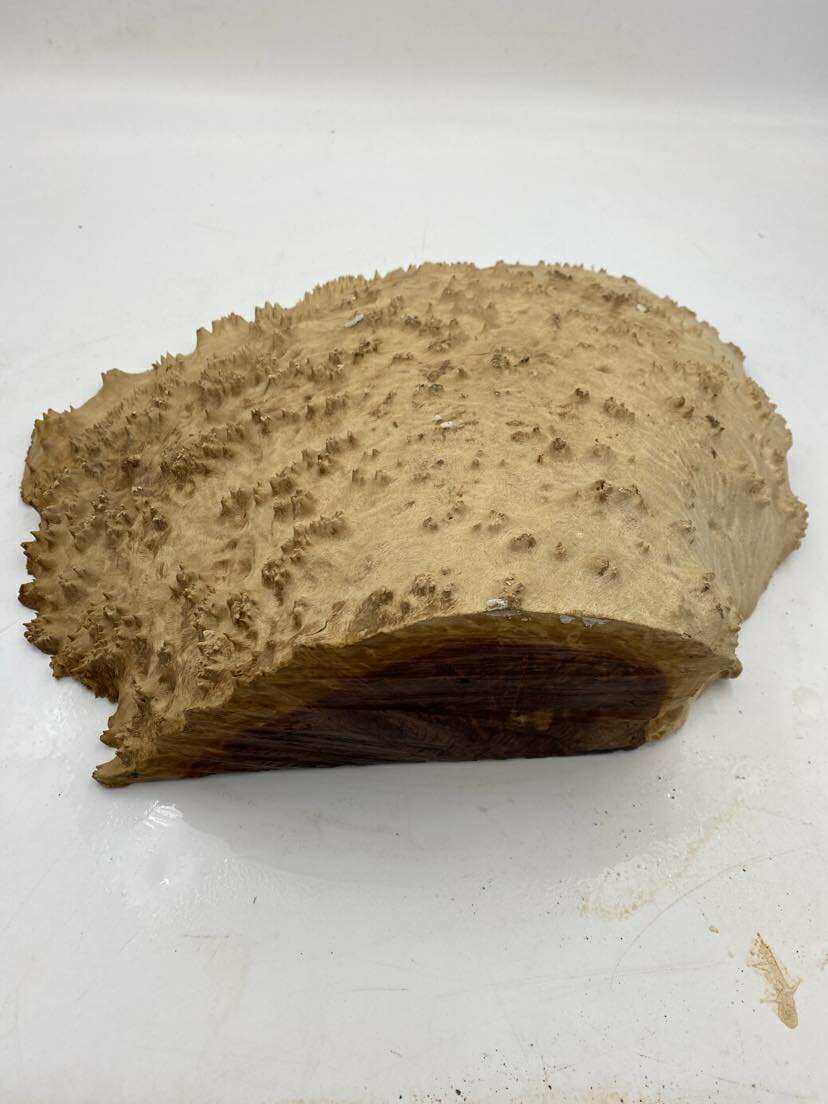 Red Mallee Burl 400 x 350 x 120mm