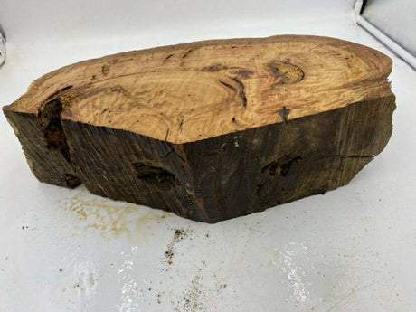 Spotted Gum Burl 430 x 220 x 100mm