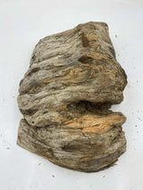 Huon Pine Burl with Birdseye 330 x 250 x 100mm