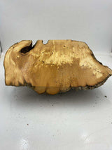 Huon Pine Burl with Birdseye 330 x 250 x 100mm
