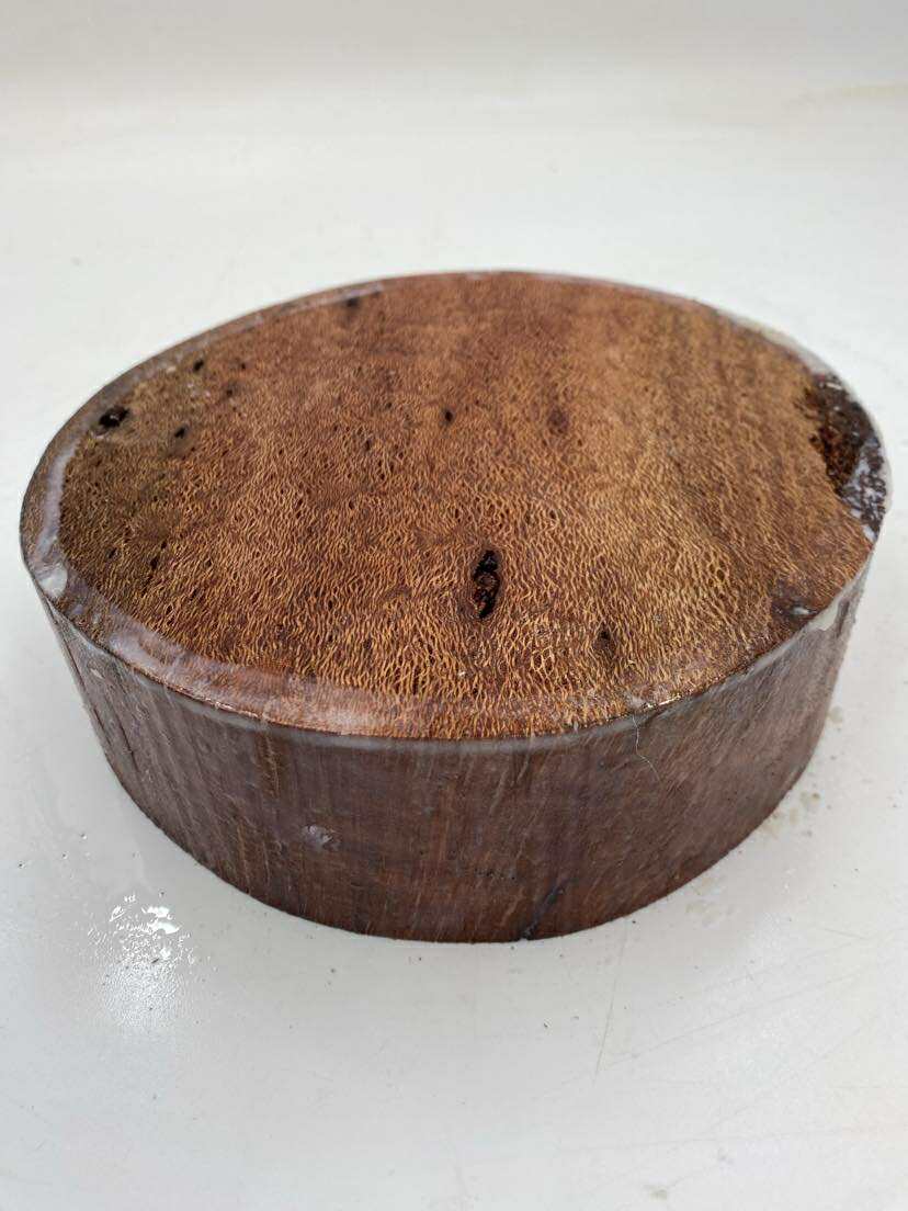 Banksia (150 year old) Bowl Blank 200 x 30mm