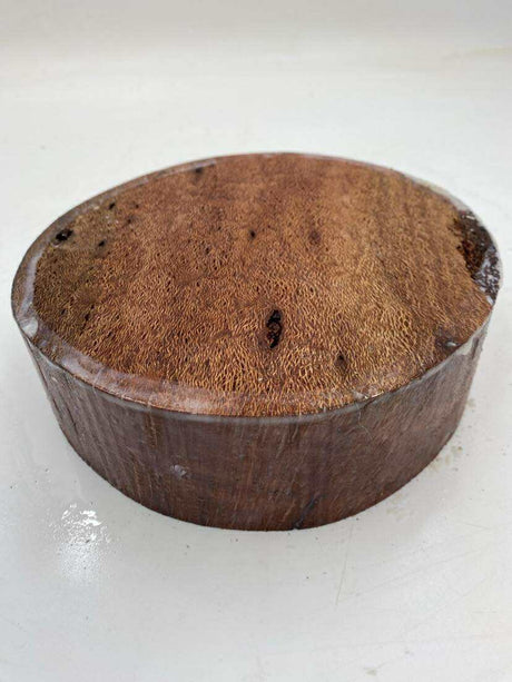 Banksia (150 year old) Bowl Blank 220 x 60mm