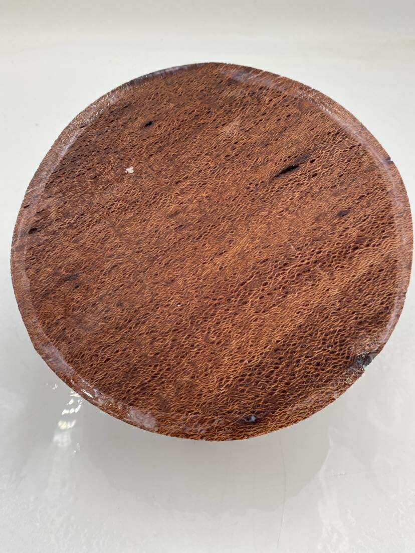 Banksia (150 year old) Bowl Blank 200 x 30mm