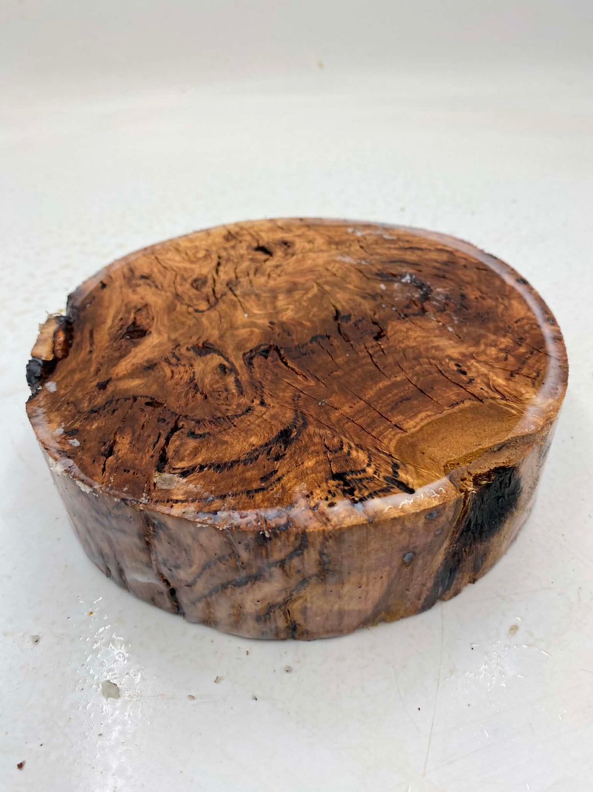 Forest Red Gum Burl Bowl Blank 180 x 50mm