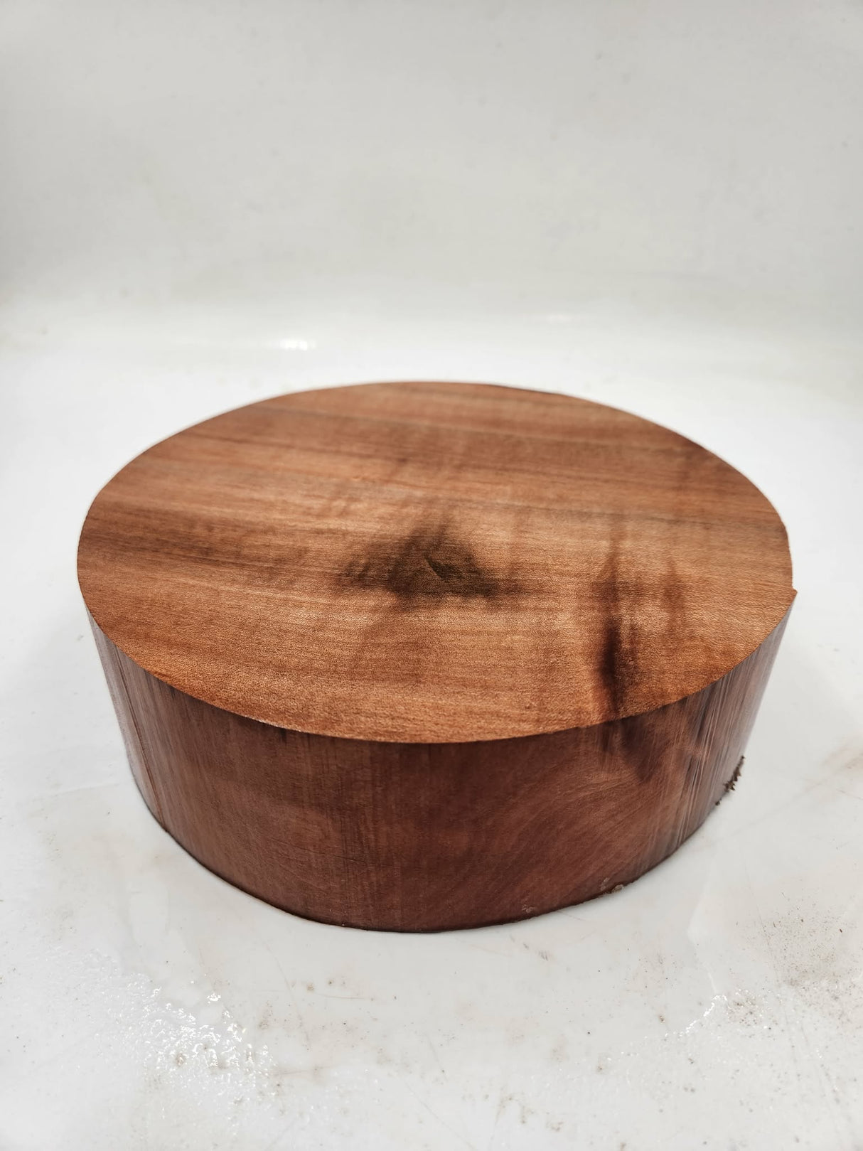 Tasmanian Myrtle Bowl Blank 175 x 70mm