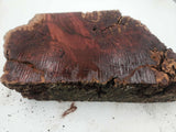 Red Gum Burl  Block 330x200x70