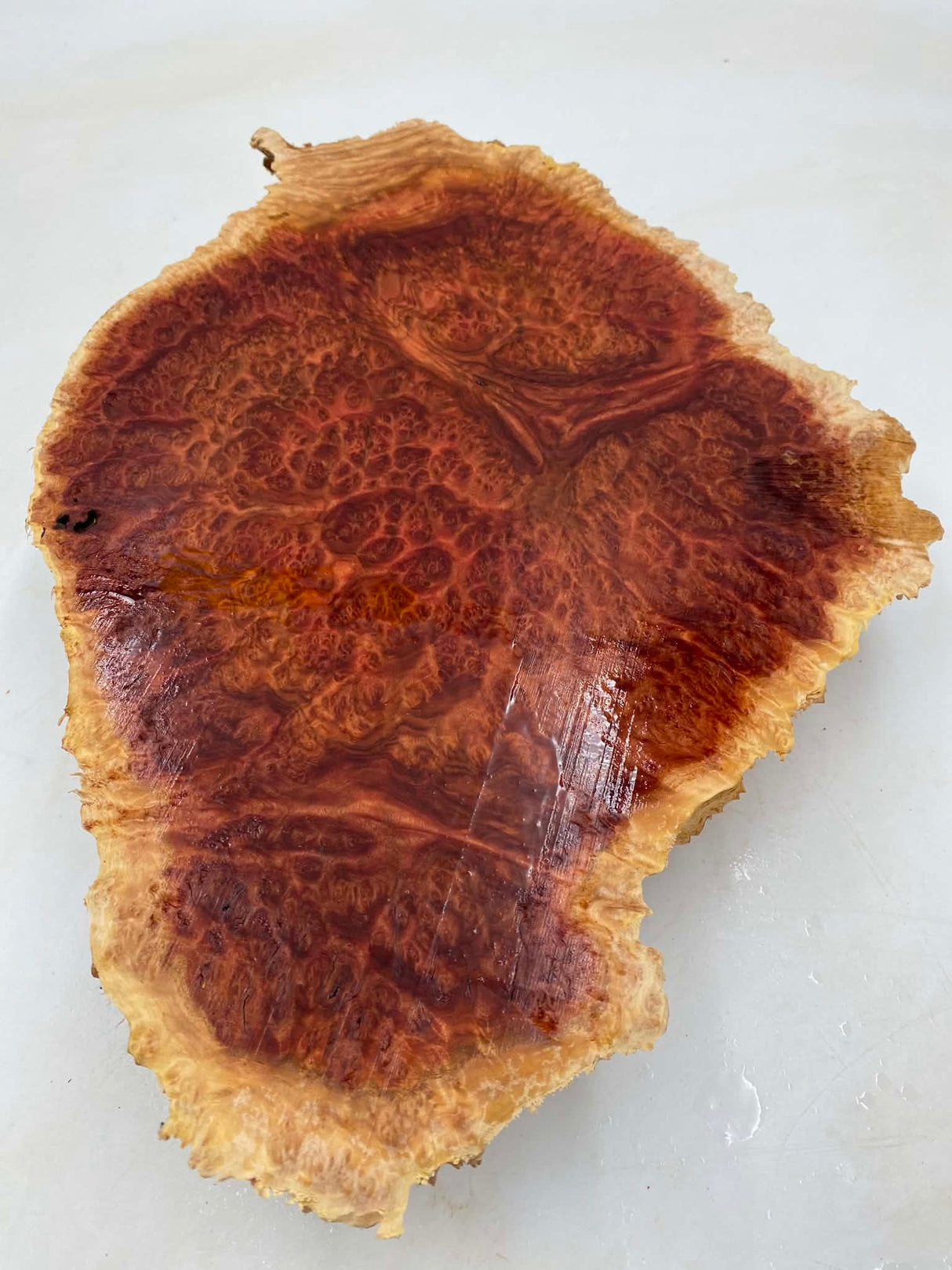 Red Mallee Burl 420 x 310 x 60mm
