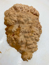 Red Mallee Burl 380 x 260 x 100mm