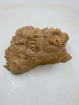 Red Mallee Burl 230 x 200 x 100mm
